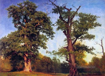 Albert Bierstadt Werke - Pioniere der Woods Albert Bier